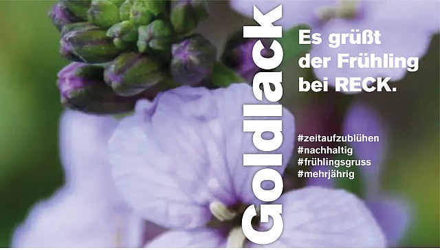 RECK Agrartechnik - Blumengrüße zum Frühlingsbeginn